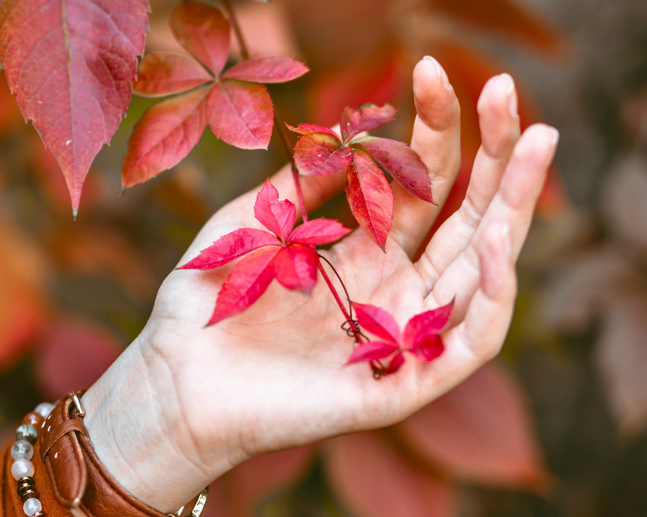 Mani e freddo: come proteggerle naturalmente in autunno e inverno